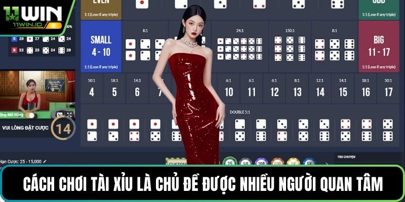 Cách chơi tài xỉu là chủ đề được nhiều người quan tâm