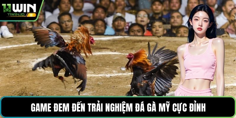 Game đem đến trải nghiệm đá gà Mỹ cực đỉnh